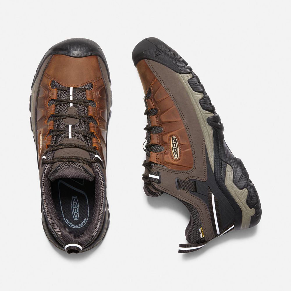 Chaussure de Randonnée Keen Homme Marron | Targhee Iii Waterproof | ZJRDL-7039